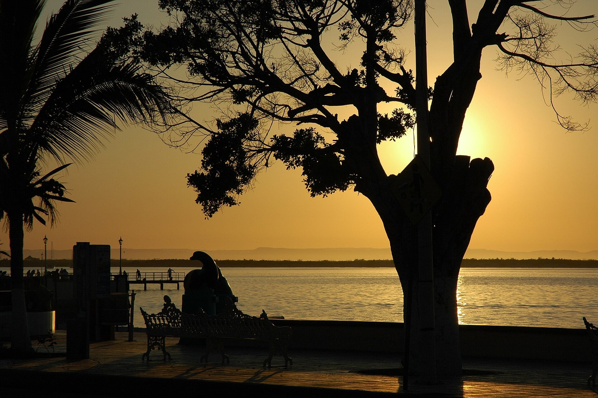 Llegada a la Bahía